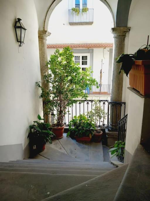 Nilo 28 House Apartment Napoli Exterior foto